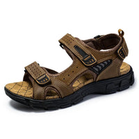 Marron foncé